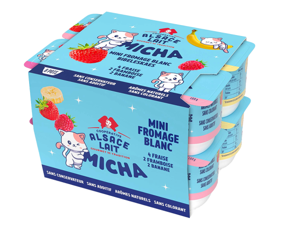 micha-fb-panache-fraise-framboise-banane-x8